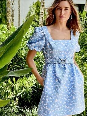 LILLY PULITZER Kasslyn Bon Bon Blue
Belted Heart Jacquard Fit Flare Dress Sz 14